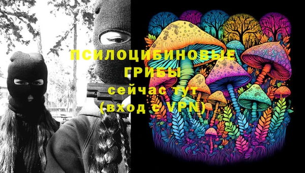 MDMA Снежногорск